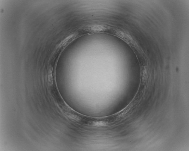 X0000071830360200607141706