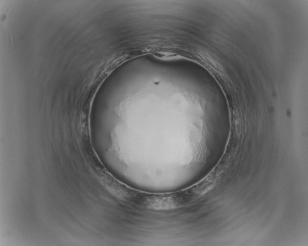 X0000071830361200607141706