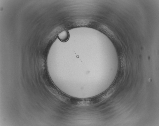 X0000071830362200607141706