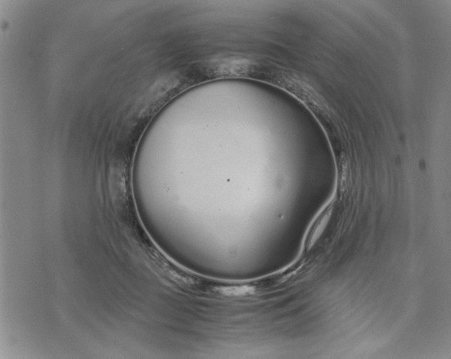 X0000071830363200607141706