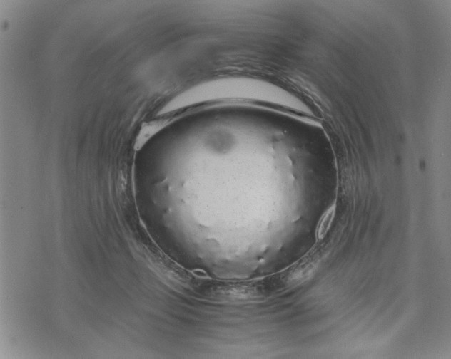 X0000071830365200607141706