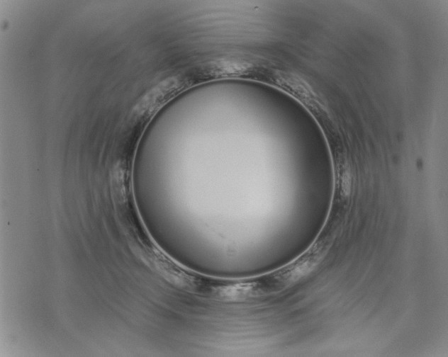 X0000071830366200607141706