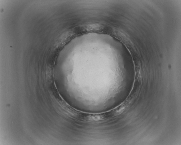 X0000071830367200607141706