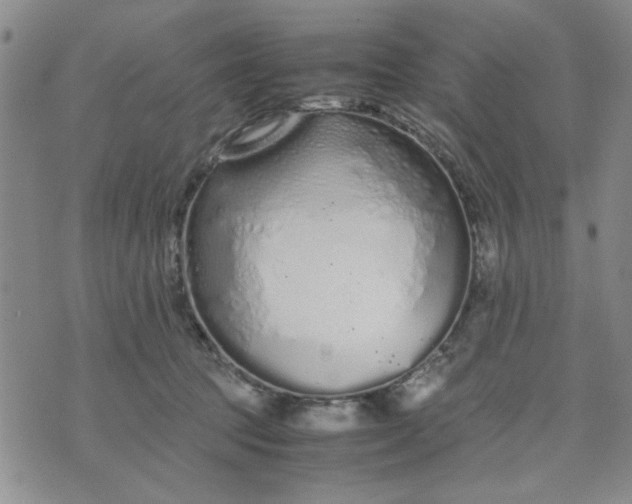 X0000071830369200607141706