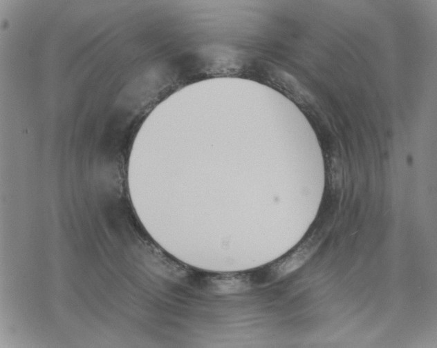 X0000071830370200607141706