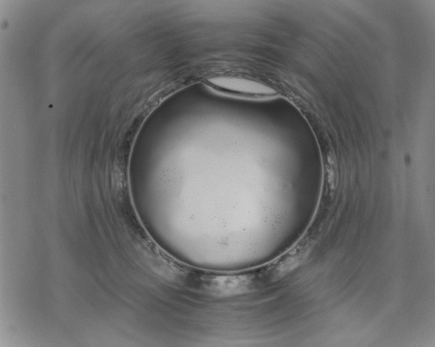 X0000071830371200607141706