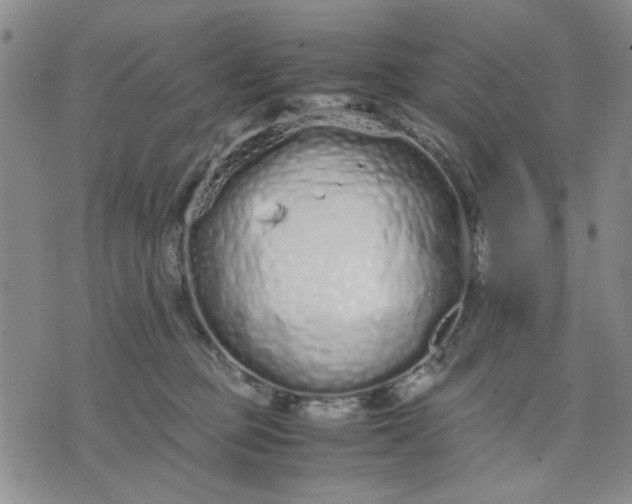 X0000071830373200607141706