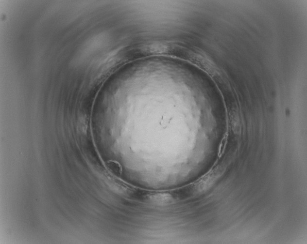 X0000071830374200607141706