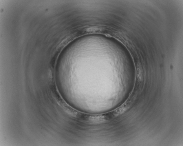 X0000071830375200607141706