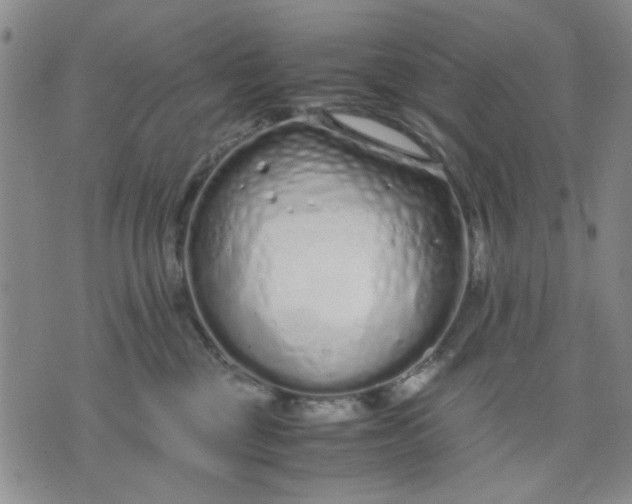 X0000071830377200607141706