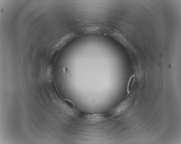 X0000071830378200607141706