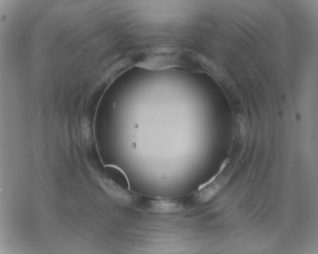 X0000071830380200607141706