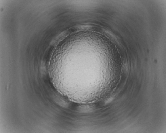 X0000071830381200607141706