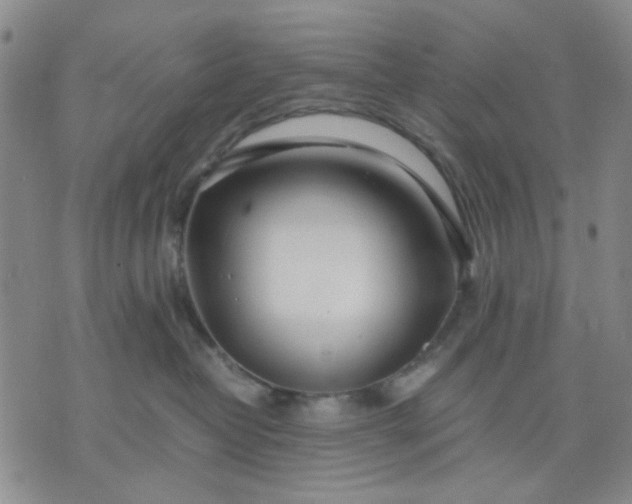 X0000071830382200607141706