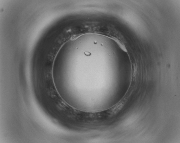 X0000071830383200607141706