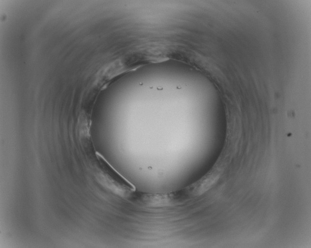 X0000071830384200607141706