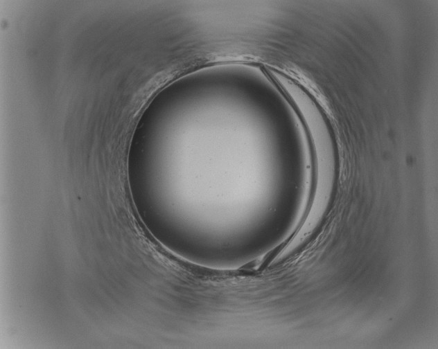 X0000071830385200607141705