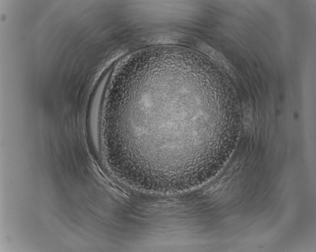 X0000071830386200607141705