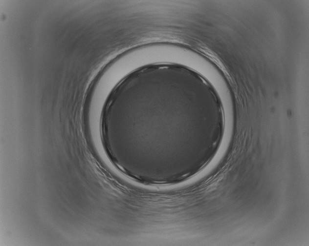 X0000071830387200607141705