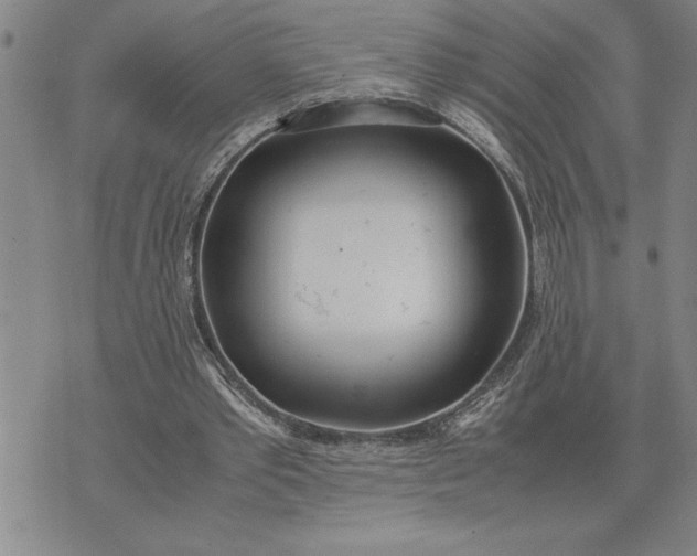 X0000071830389200607141705