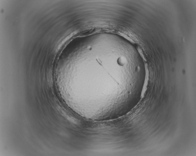 X0000071830390200607141705