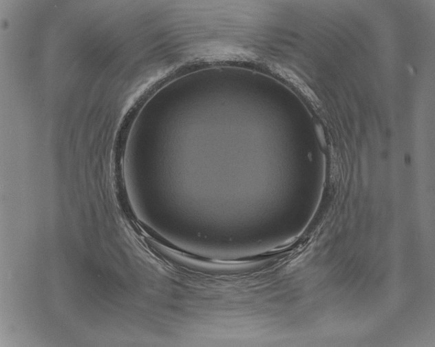 X0000071830391200607141705