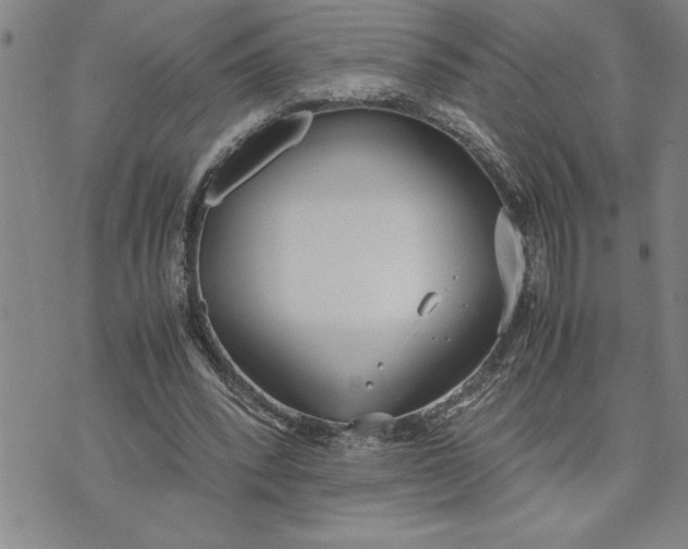 X0000071830392200607141705