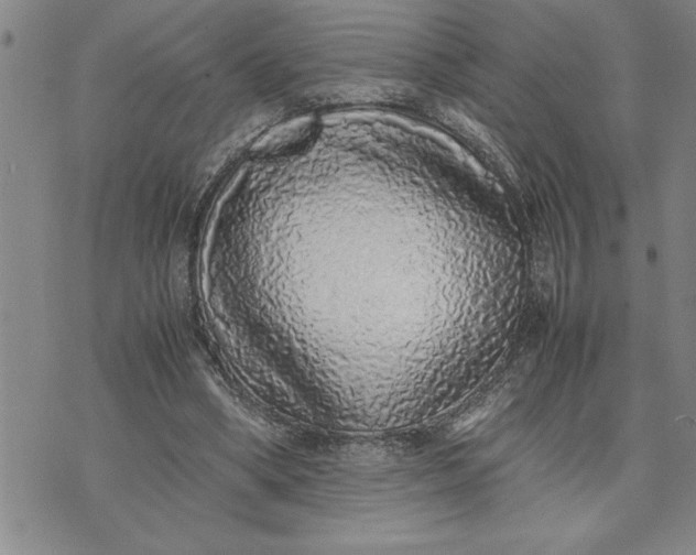 X0000071830394200607141705