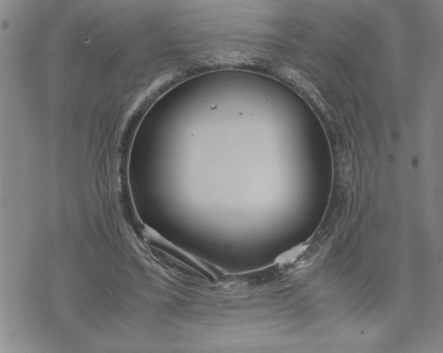 X0000071830395200607141705