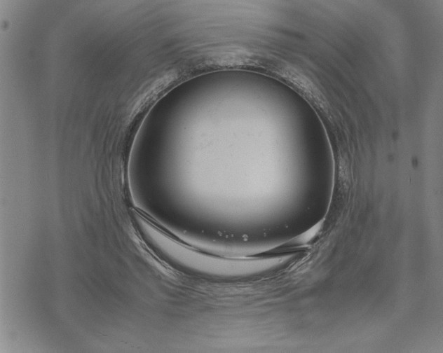 X0000071830397200607141705