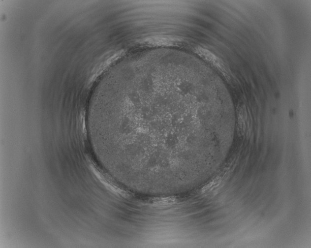 X0000071830398200607141705