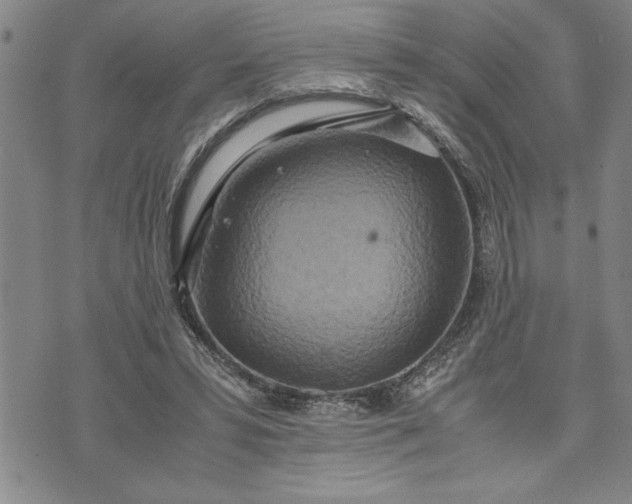 X0000071830399200607141705