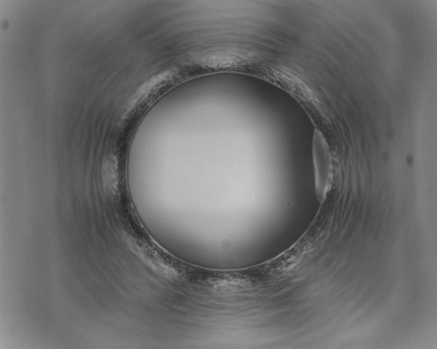 X0000071830400200607141705