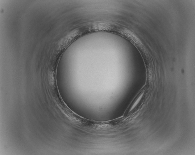 X0000071830401200607141705