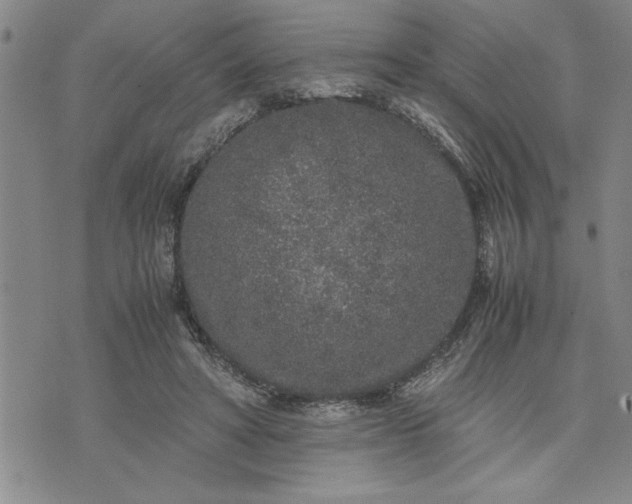 X0000071830402200607141705