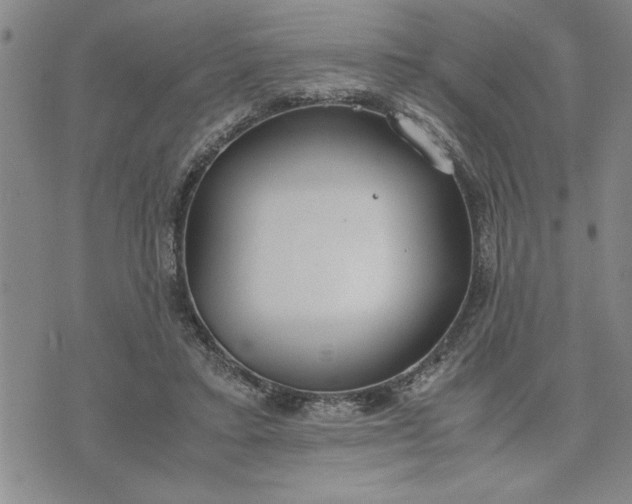 X0000071830403200607141705