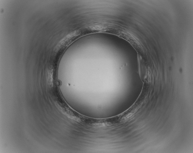 X0000071830404200607141705