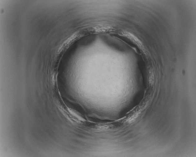 X0000071830405200607141705