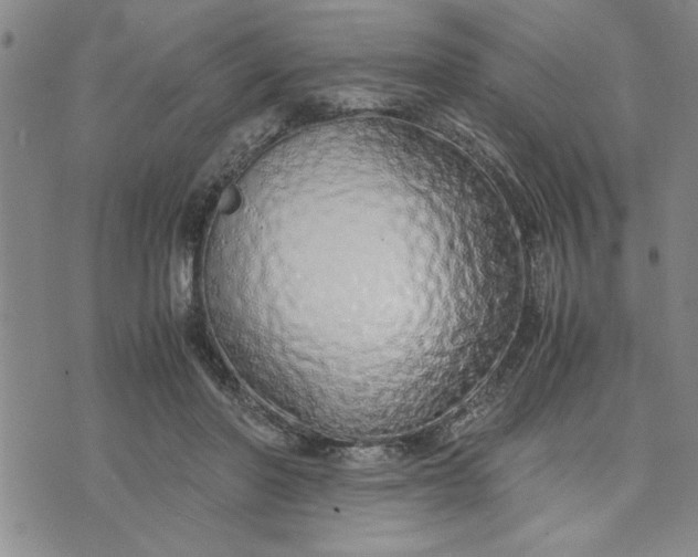 X0000071830406200607141705