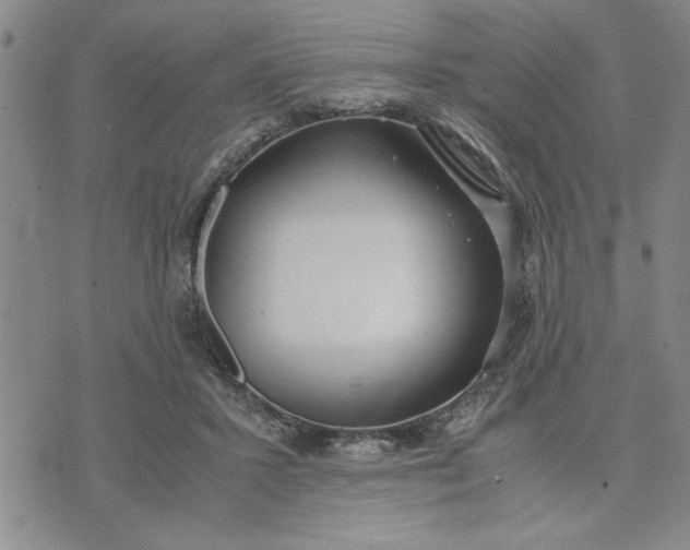 X0000071830407200607141705