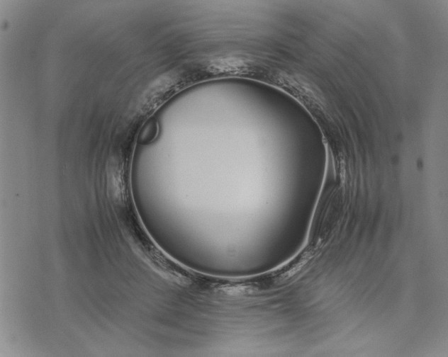 X0000071830408200607141705