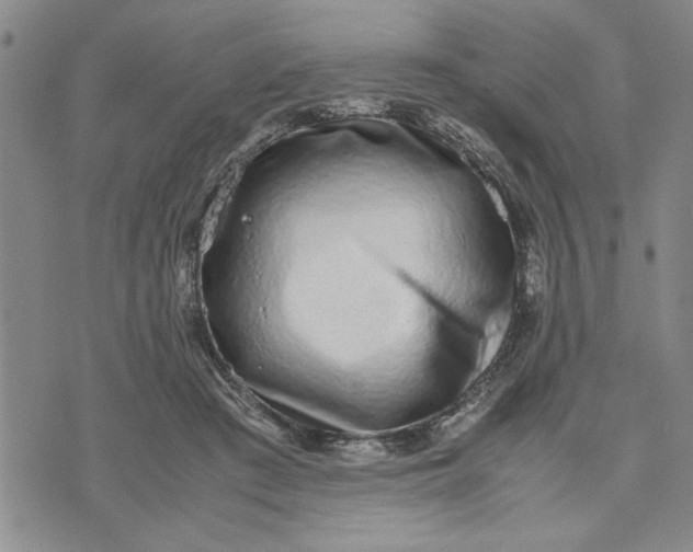 X0000071830409200607141705