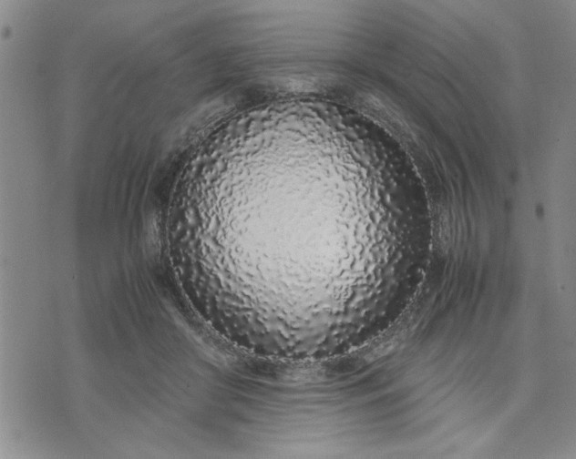 X0000071830410200607141705