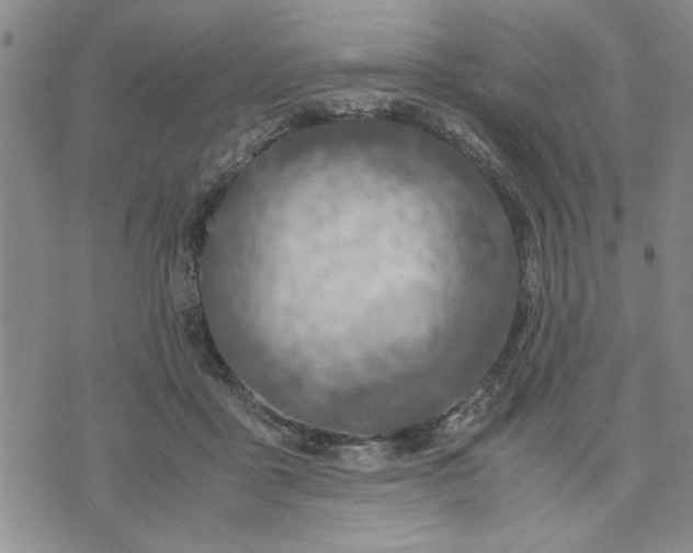 X0000071830411200607141705