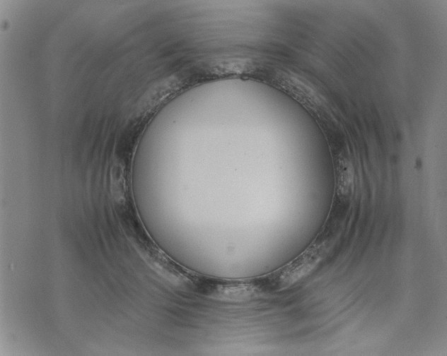 X0000071830414200607141705