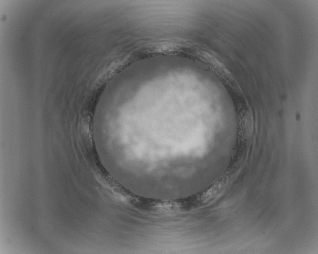 X0000071830415200607141705