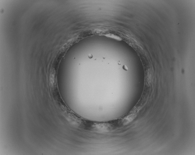 X0000071830417200607141705