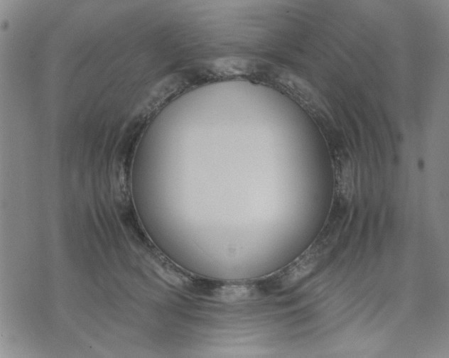 X0000071830418200607141705