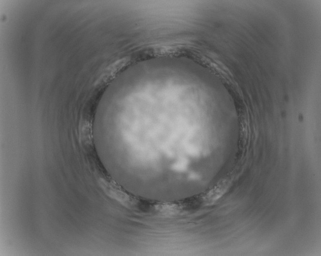 X0000071830419200607141705