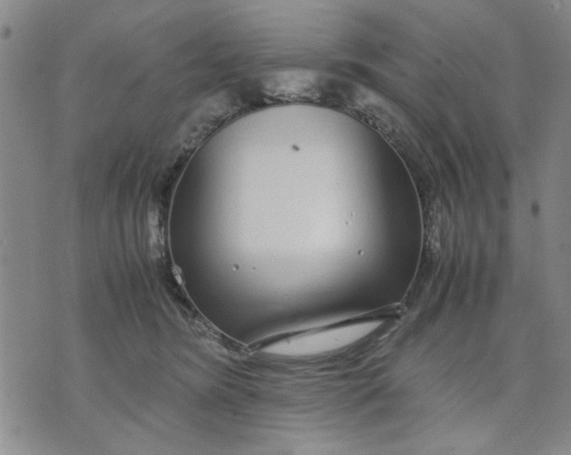 X0000071830420200607141705